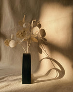 Elements Series - Arches